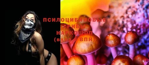 хмурый Лагань