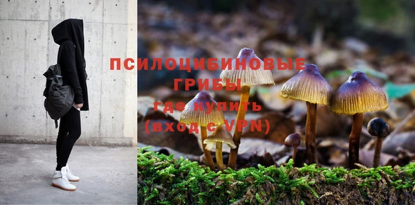 кокаин Ладушкин