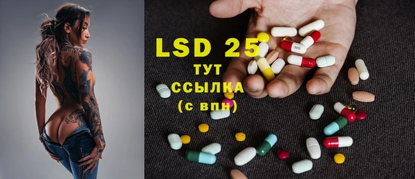 хмурый Лагань